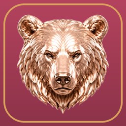 Mama Bear icon